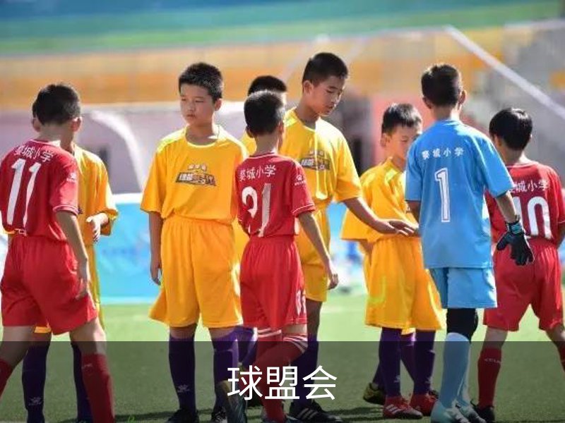 关于球盟会